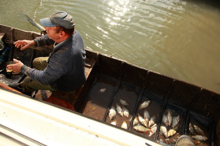 la pescuit - viata in delta-prepararea borsului de peste