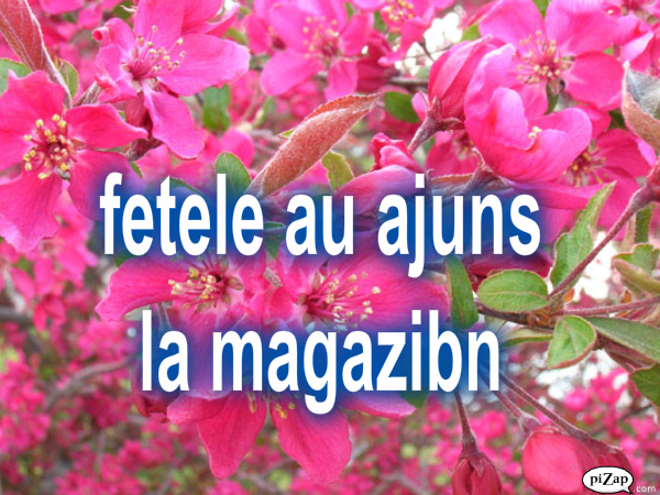 pizap.com12894094253901