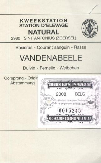 BELG-2008-6015245 KT VANDENABEELE 1 - Pedigree