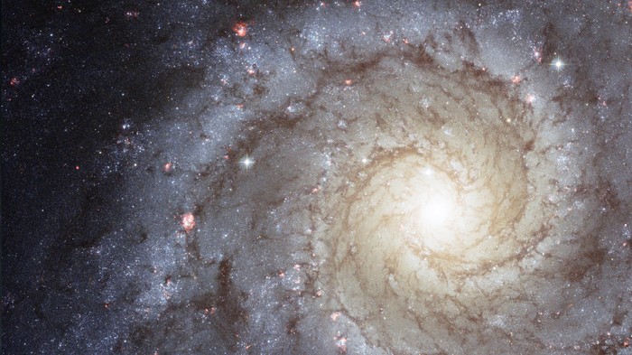 m74-rightt