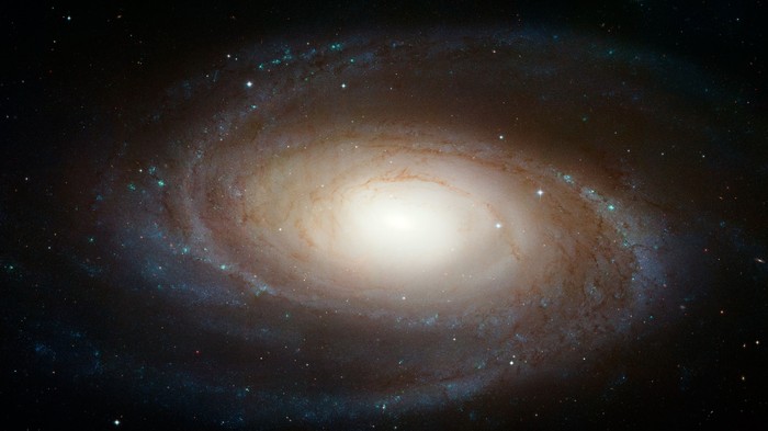 m81