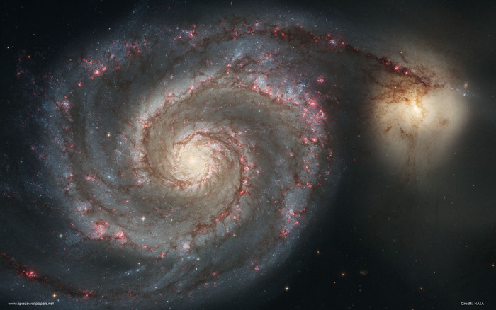 m51