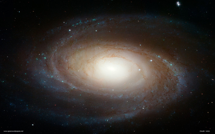 m81