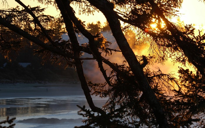 229 - Nature Wallpapers