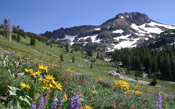 234 - Nature Wallpapers