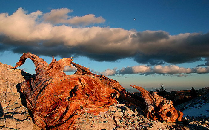 235 - Nature Wallpapers