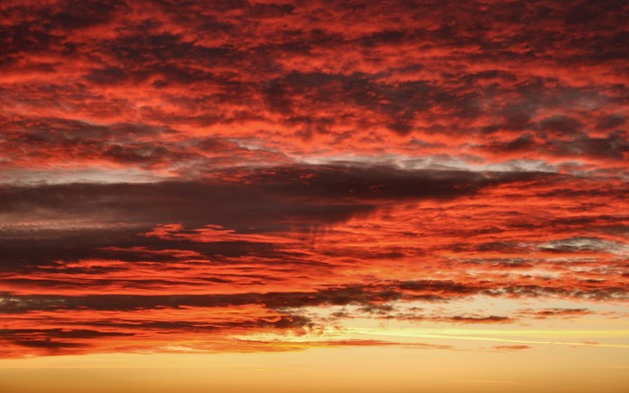 236 - Nature Wallpapers