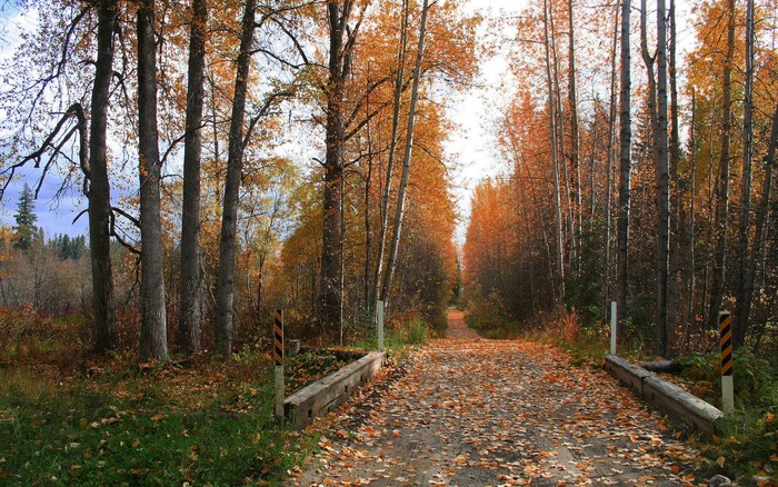 257 - Nature Wallpapers