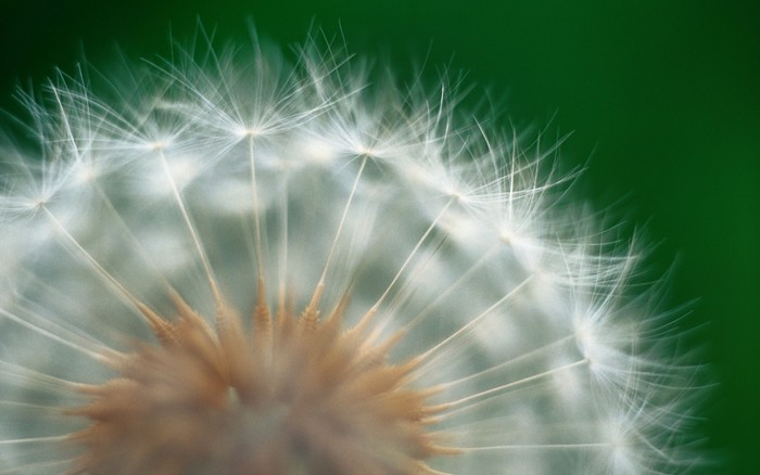 260 - Nature Wallpapers