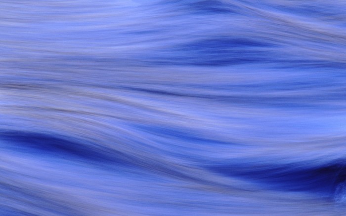 291