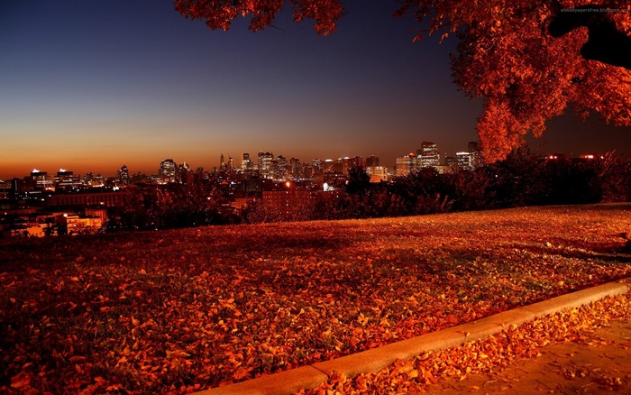 Super Wallpapers