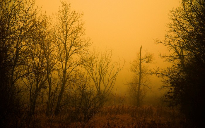 103 - Nature Wallpapers