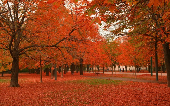 104 - Nature Wallpapers