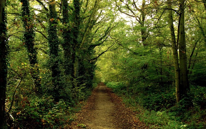 108 - Nature Wallpapers