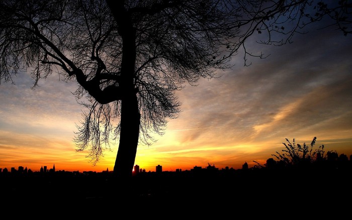 109 - Nature Wallpapers