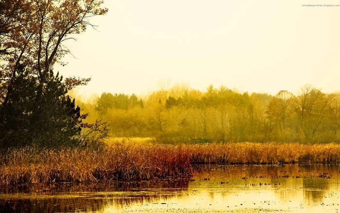 114 - Nature Wallpapers
