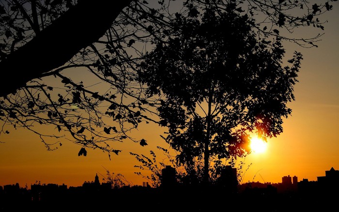 124 - Nature Wallpapers