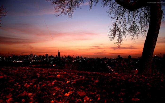 137 - Nature Wallpapers