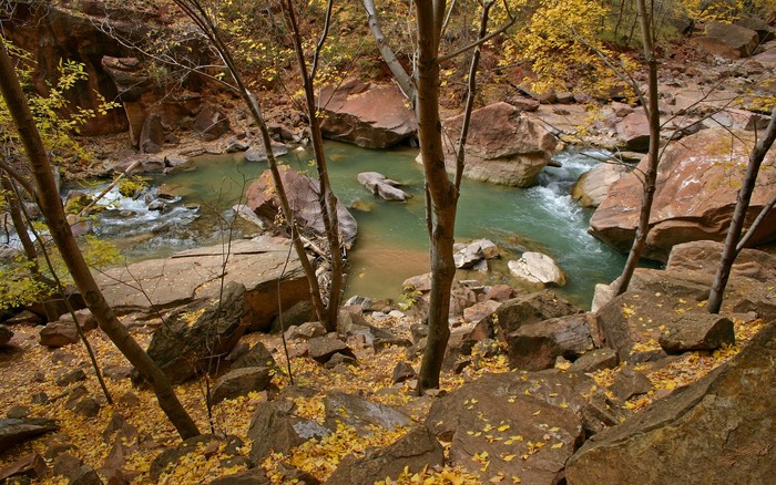 142 - Nature Wallpapers