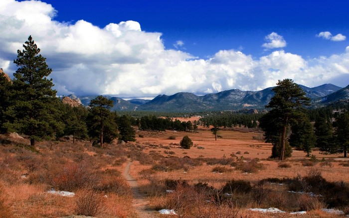 144 - Nature Wallpapers