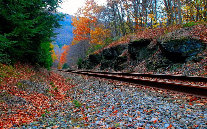 145 - Nature Wallpapers