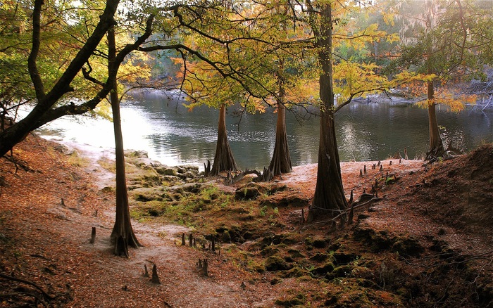 148 - Nature Wallpapers