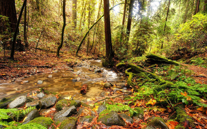 149 - Nature Wallpapers