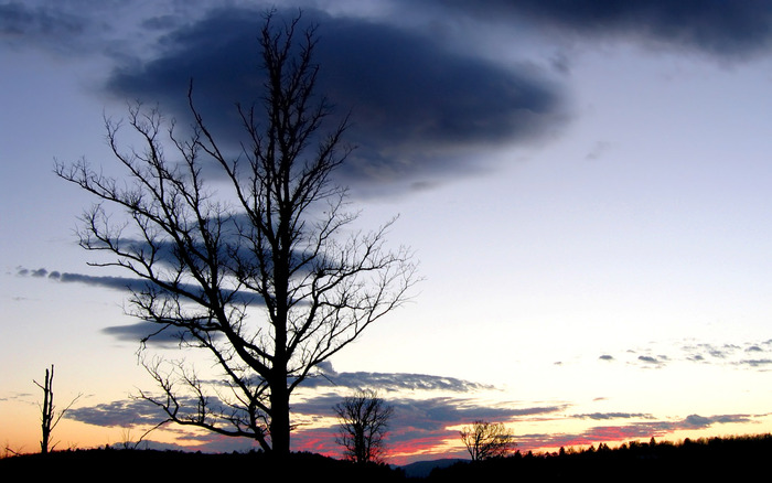 158 - Nature Wallpapers