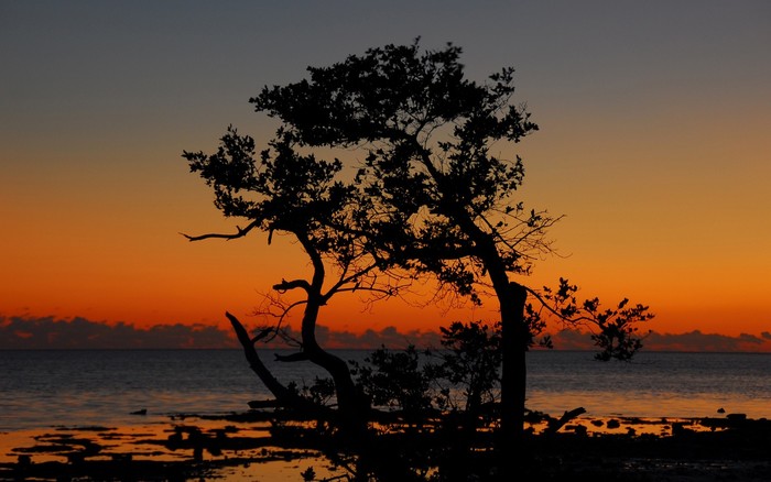 164 - Nature Wallpapers