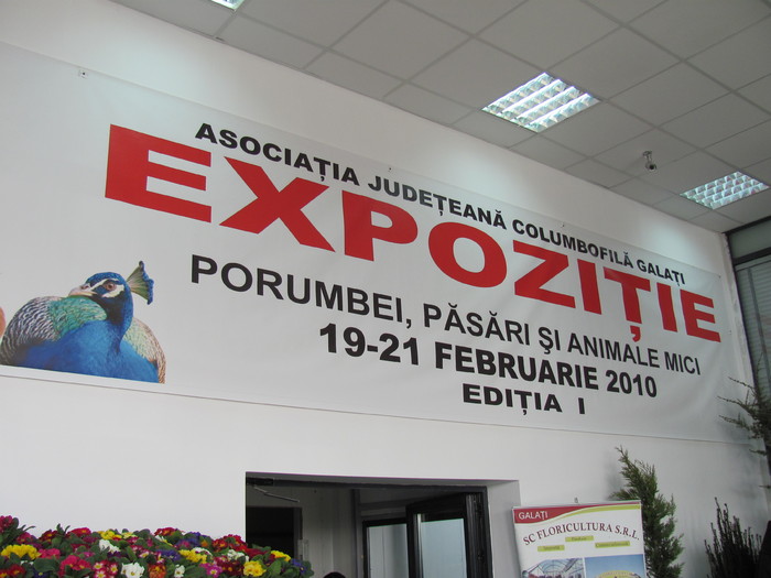 1 - Expozite Galati feb 2010