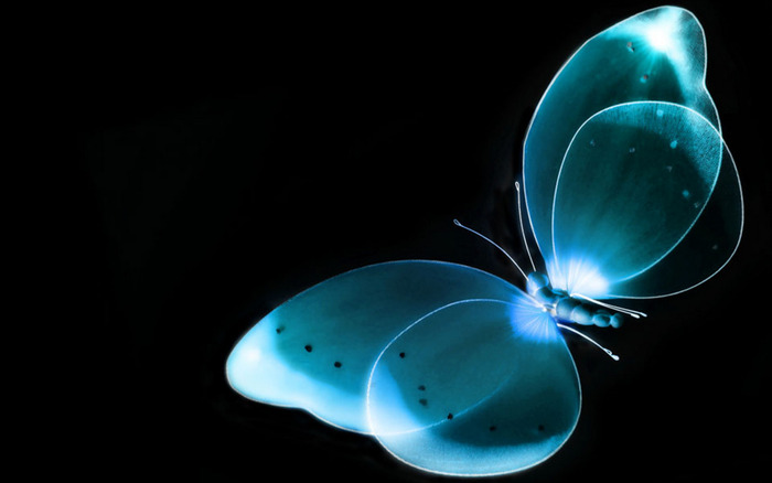 0040 - Neon Style Wallpaper