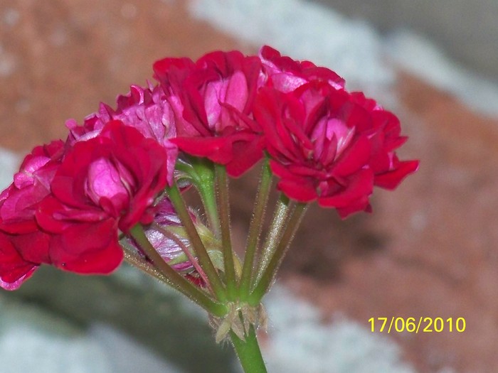 100_2403