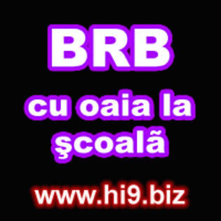 brb cu oaia la scoala - hi9 biz