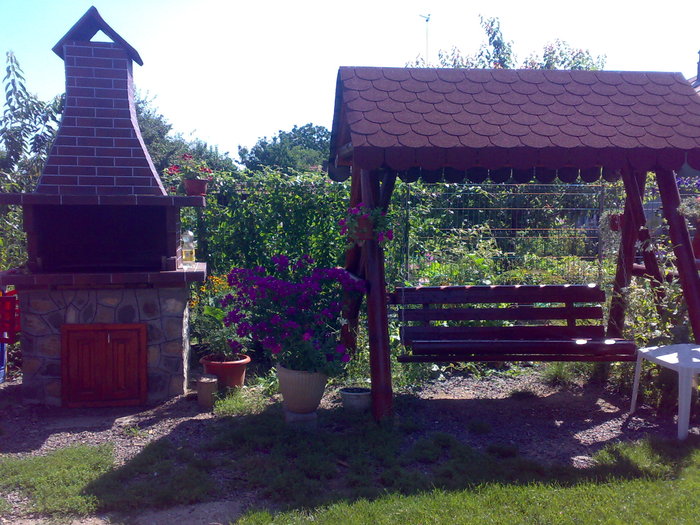 Picture 004 - GRADINA NOASTRA