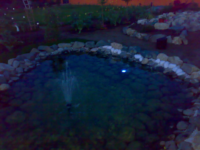 09052009894 - GRADINA NOASTRA