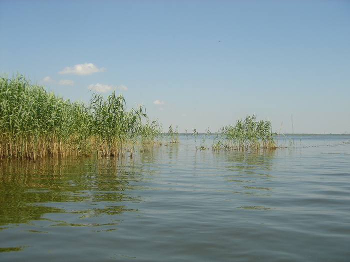 Delta - viata in delta-prepararea borsului de peste