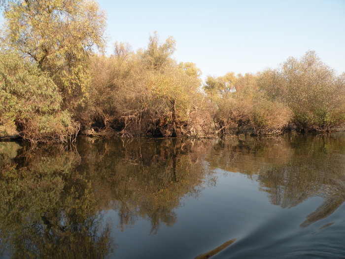 Delta - viata in delta-prepararea borsului de peste