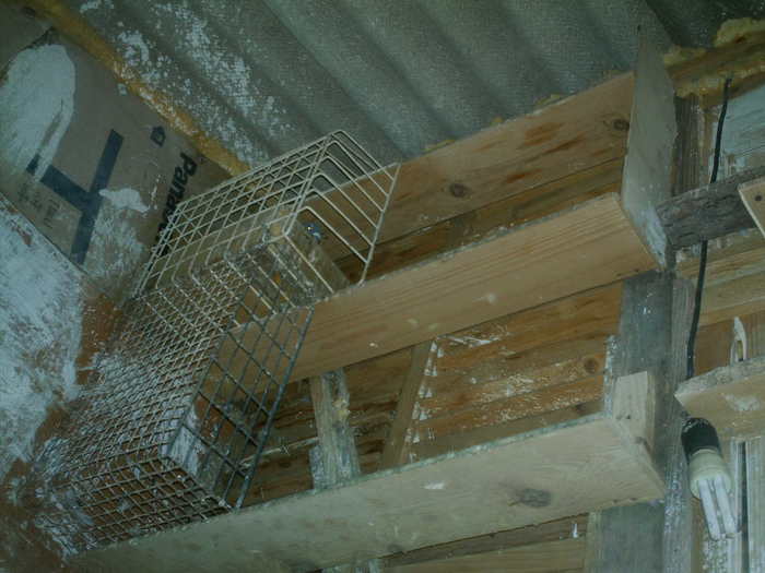 Copy (2) of ionut 068