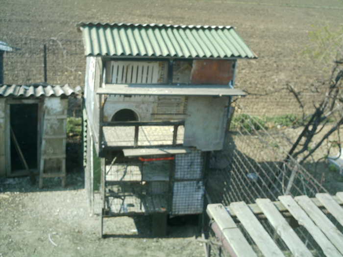 Copy (2) of ionut 113 - unu