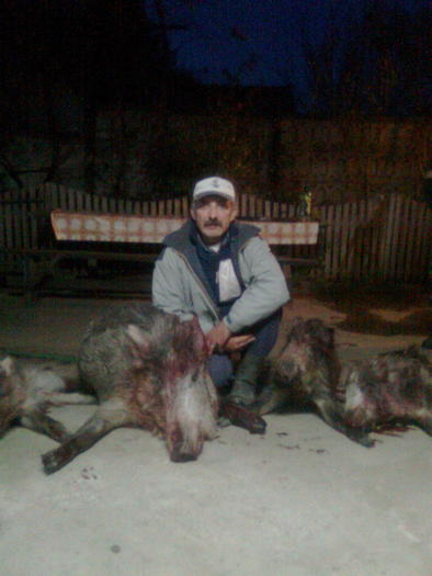 folder gol 004; noiembrie 2010, unu' mare si trei mici.
