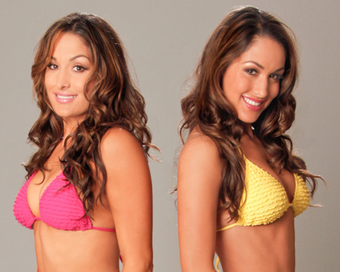 006 - Bella Twins - Summer Divas