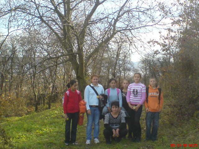 DSC01234 - 2010 Excursie in orizontul local cls v-a Ungra 2010