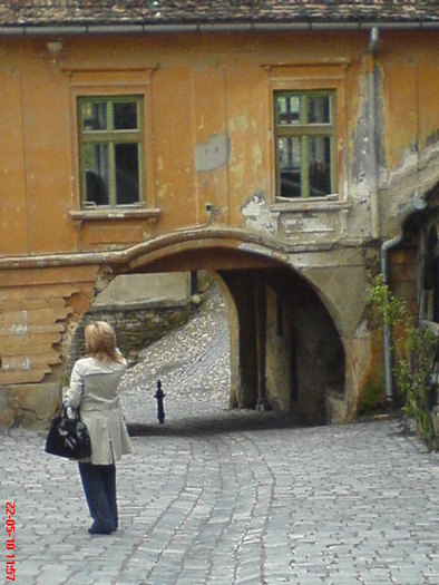 DSC00787 - 2009-2010 Excursie la Sighisoara an scolar