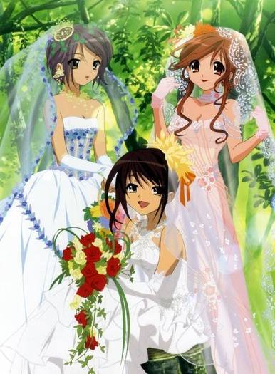 398265256364534 - ANIME - wedding