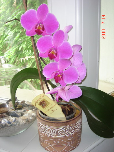 DSC08935