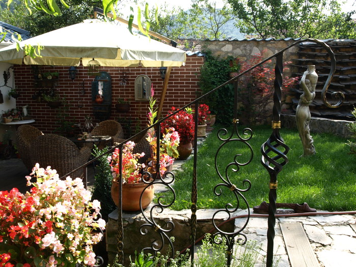 flori - aug (43) - Vara in gradina