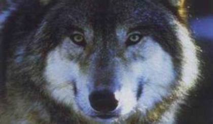 iiiiiiiiiiiiiiiiiiii