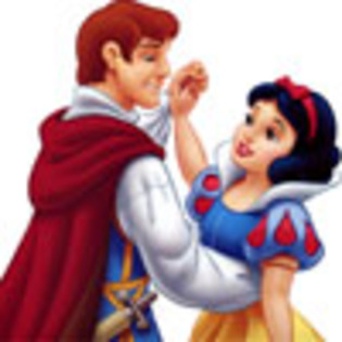 alba-ca-zapada-cei7-pitici