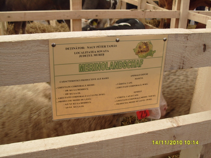 S1050725 - Indagra 2010