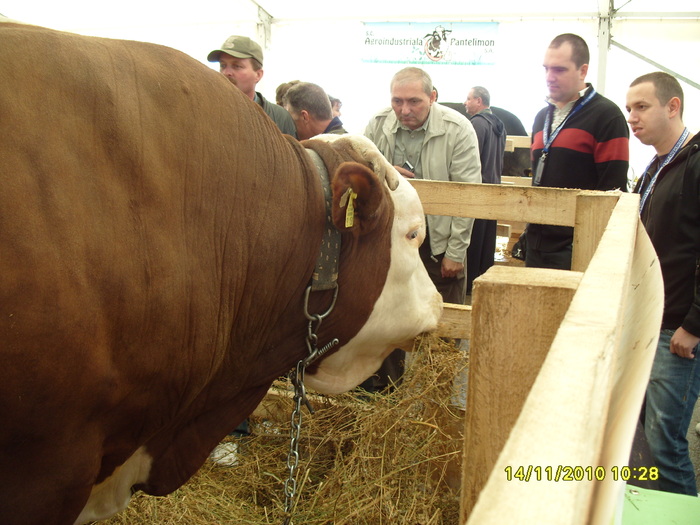 S1050746 - Indagra 2010